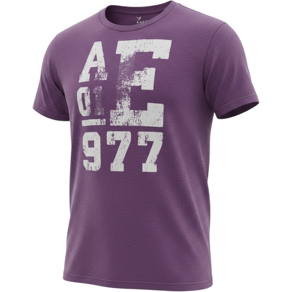 American Eagle Mens Purple Heathered Graphic T-Shirt AE 01 977‎ Distressed Large